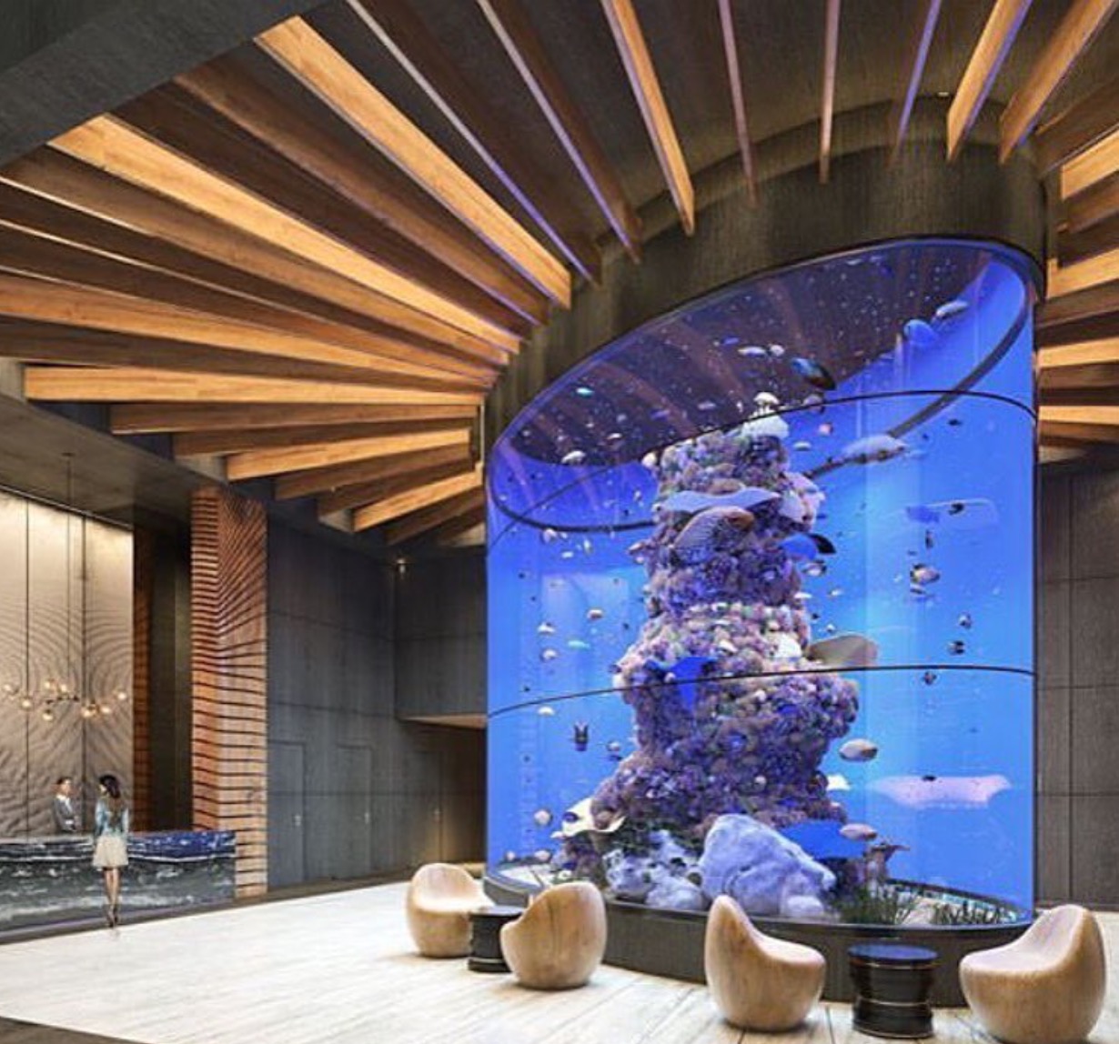 modern lobby fish tank