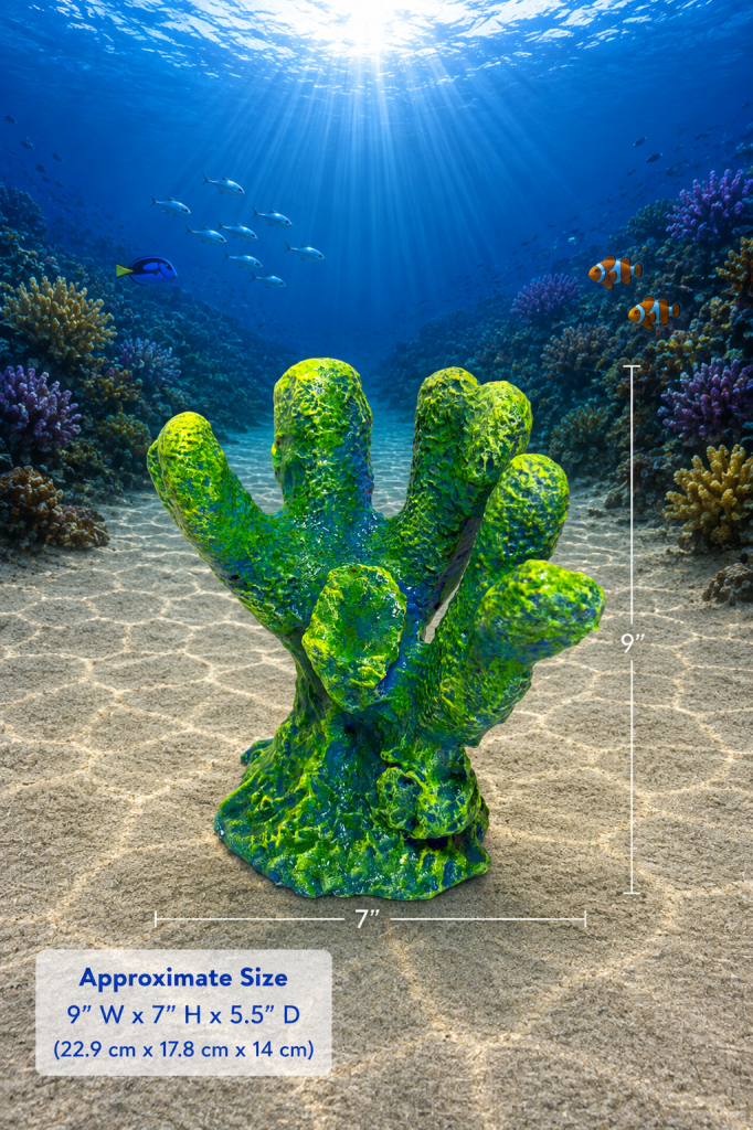 Knobby Coral