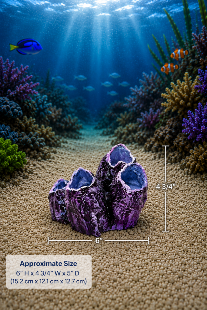 Barnacle Cluster