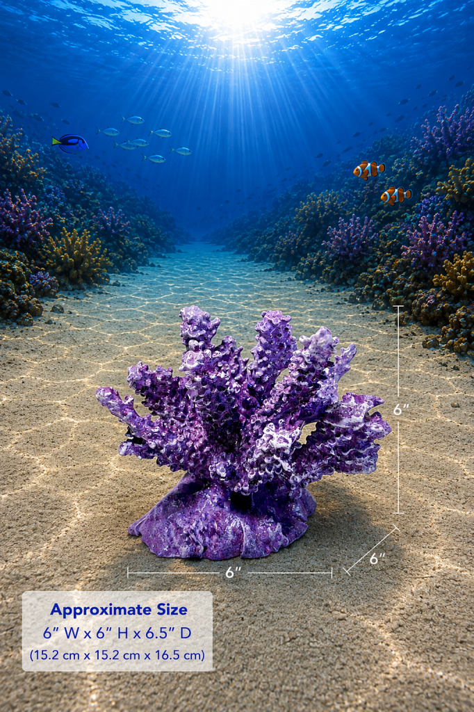 Staghorn Coral 2