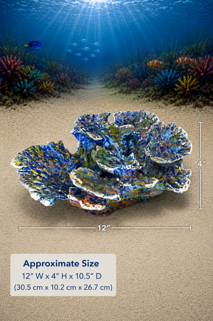 Plate Coral