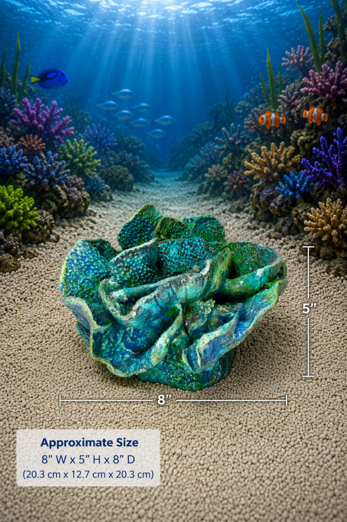 Cabbage Coral