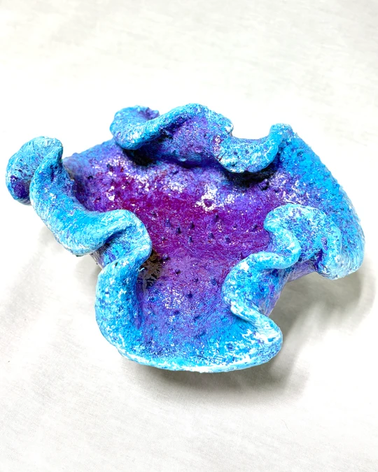 Scroll Coral