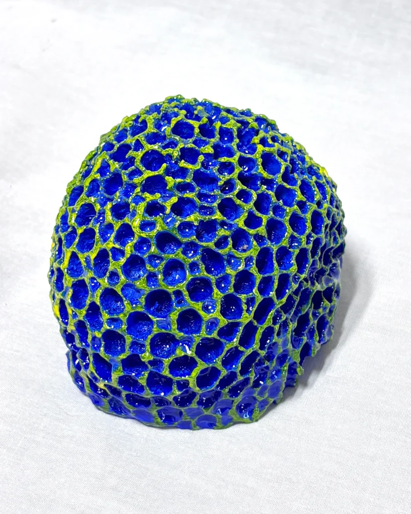 Honeycomb Coral