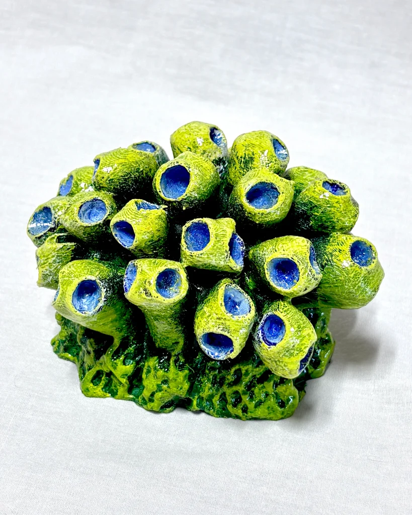 Organ Pipe Coral