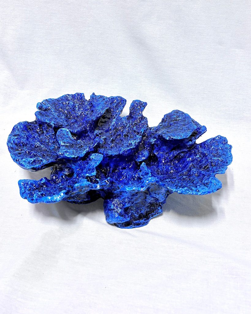 Plate Coral