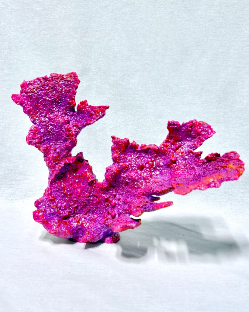 Elkhorn Coral 2 (Med)