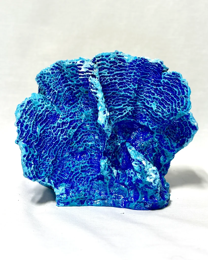 Lettuce Coral