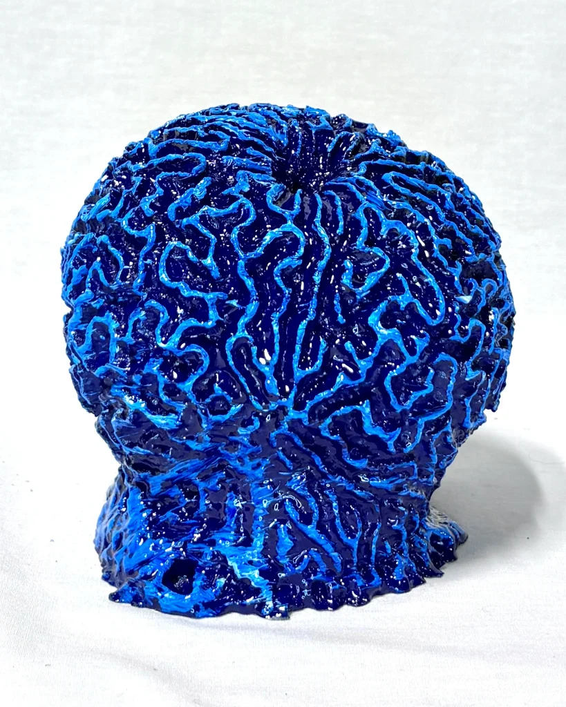 Brain Coral