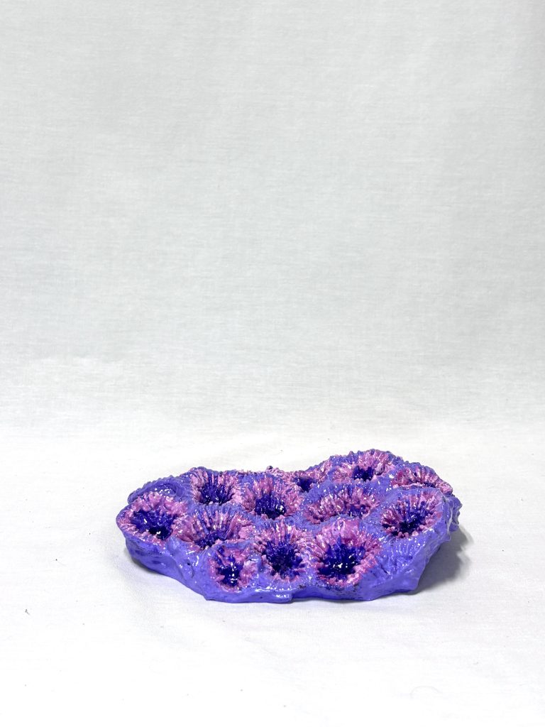 Moon Coral