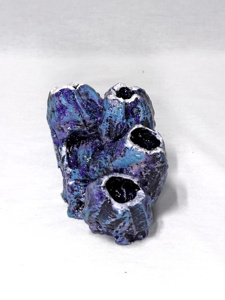 Barnacle Cluster 2
