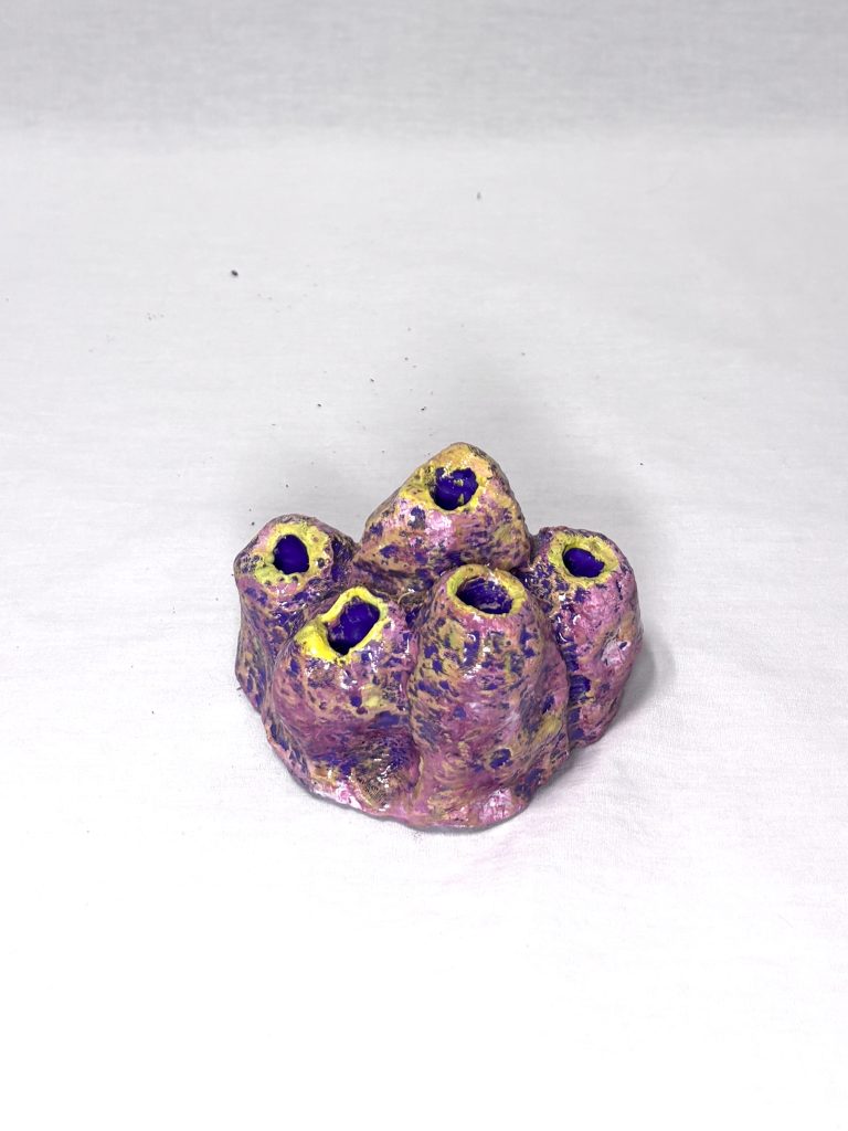 Barnacle Cluster 3 (small)